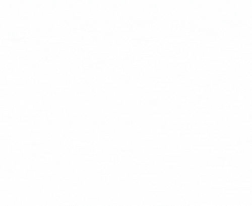 TRY NGO Logo