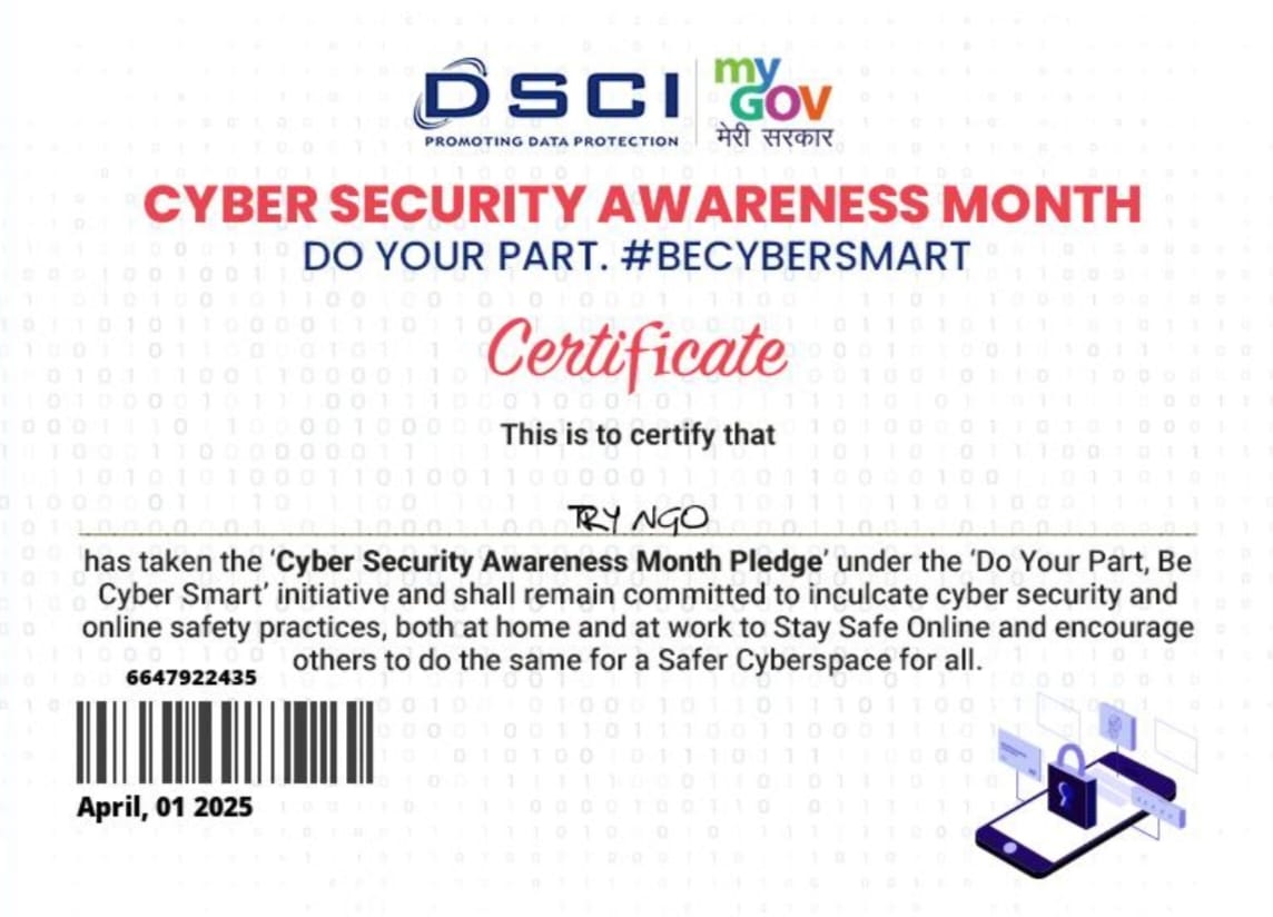 Cyber Security Award
