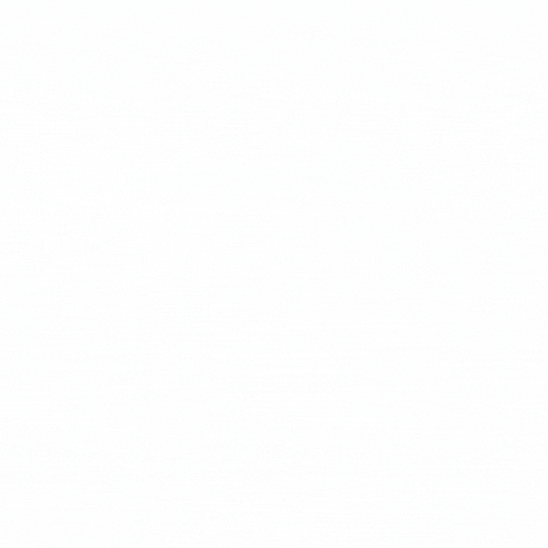 TRY NGO Logo